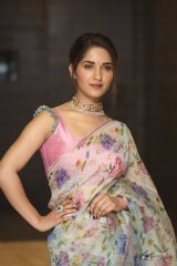 Ruhani Sharma at Hit Movie Pre Release Event